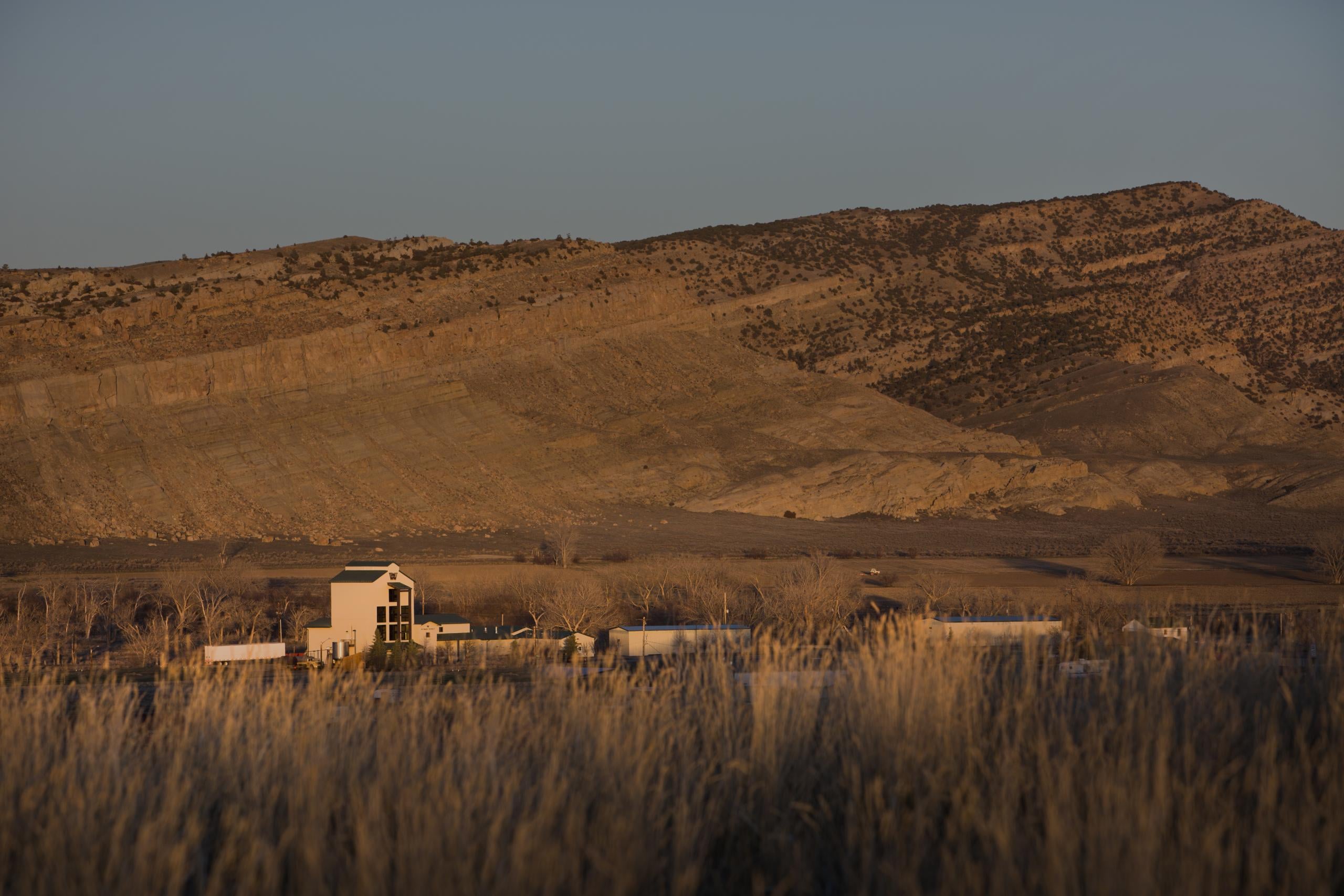 A whiskey Distillery in a field