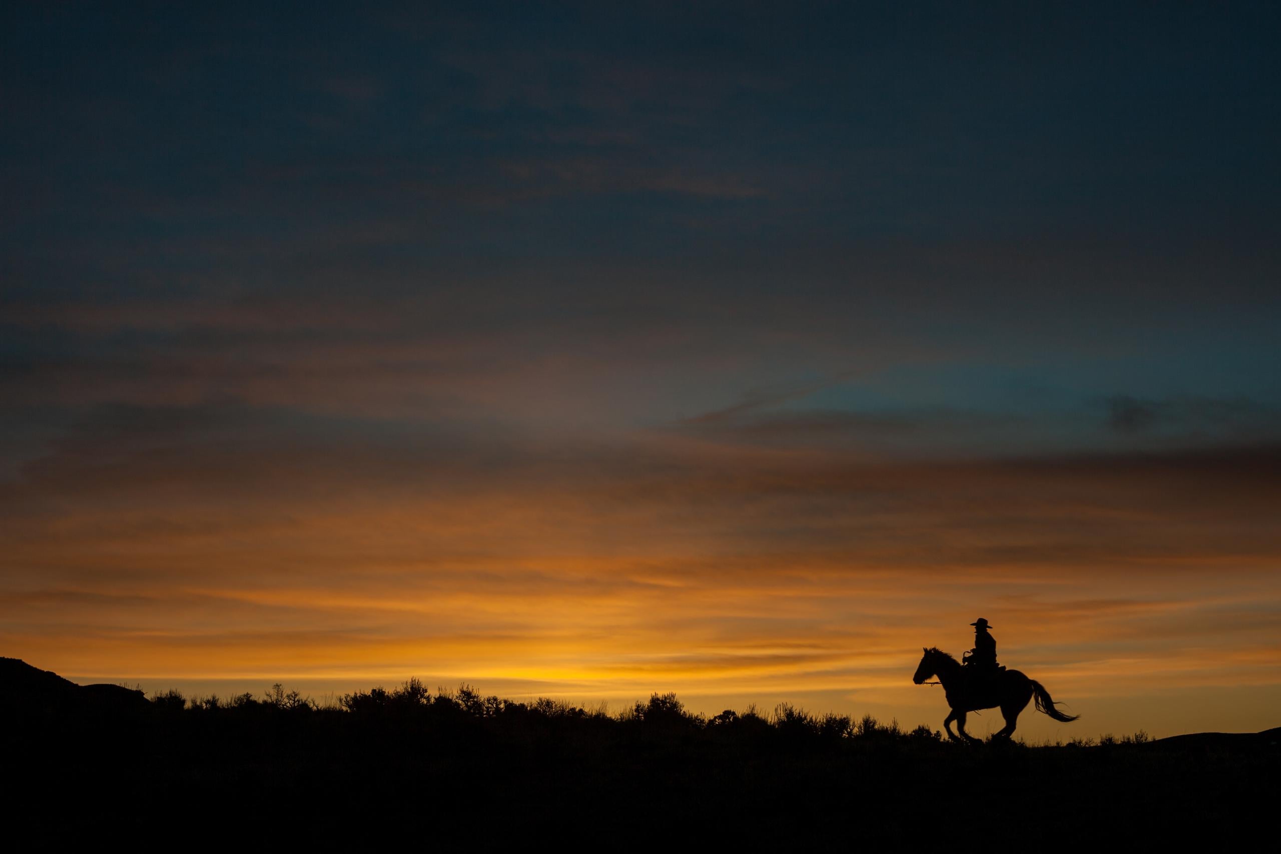 Cowboy riding on the sunset