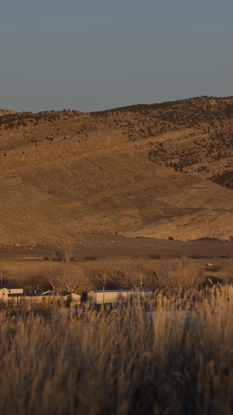 A whiskey Distillery in a field