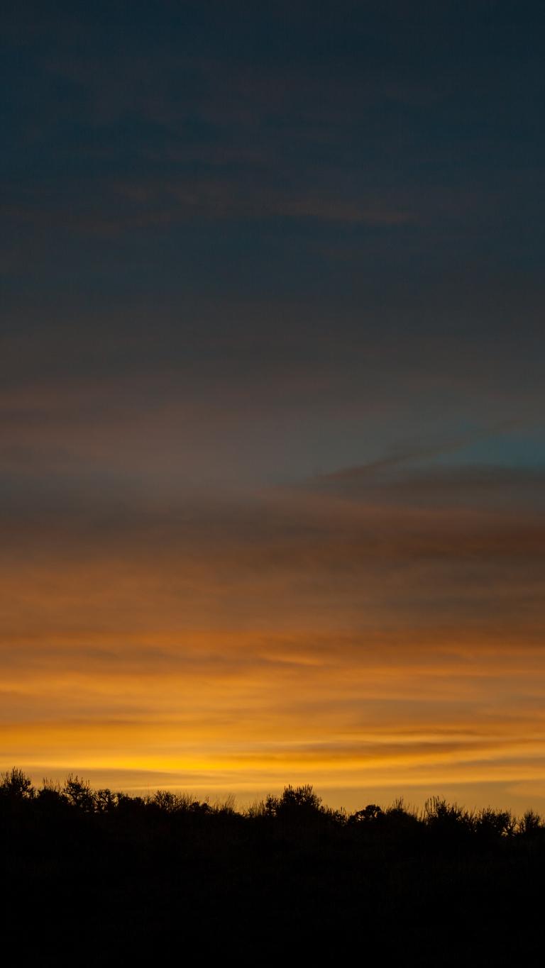 Cowboy riding on the sunset