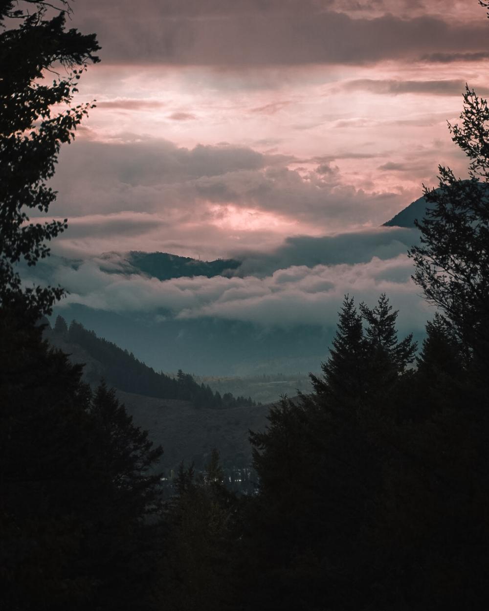 the grand mountain range through the trees