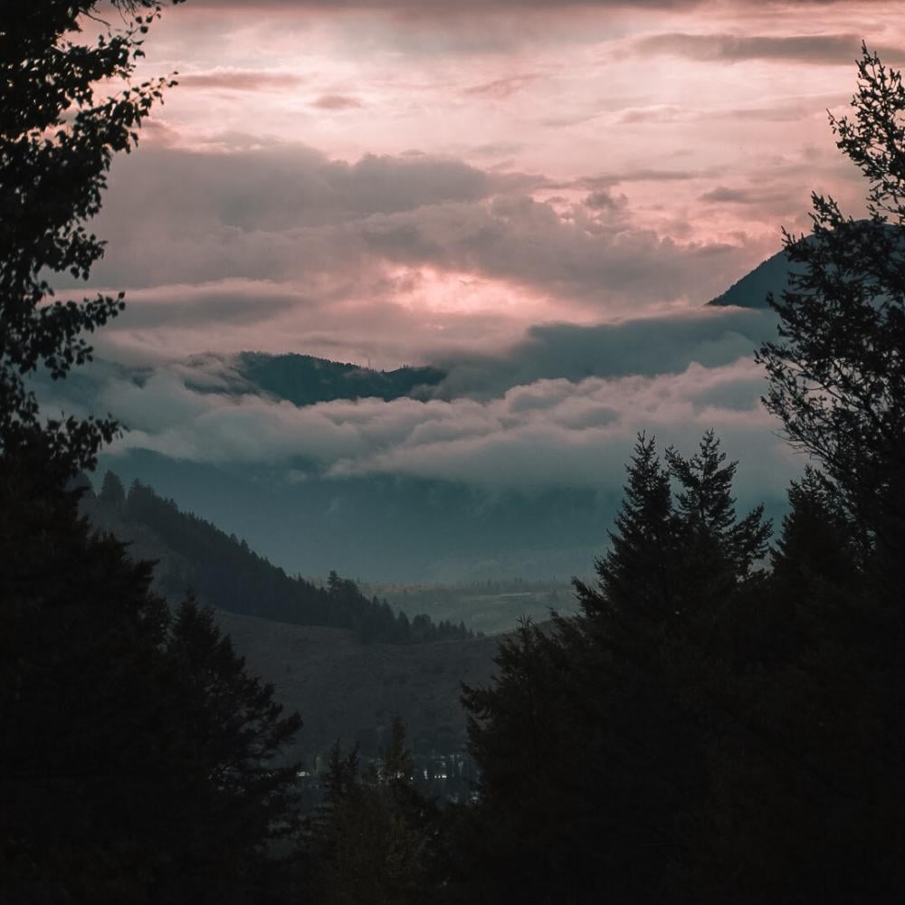 Mountains through a forest